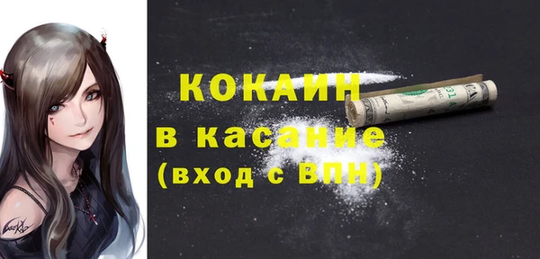 стаф Кукмор