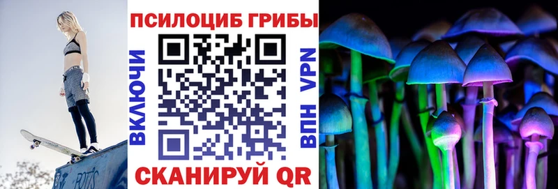 Галлюциногенные грибы Psilocybine cubensis  Таганрог 